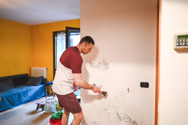 Best Mold Testing  in Takoma Park, MD